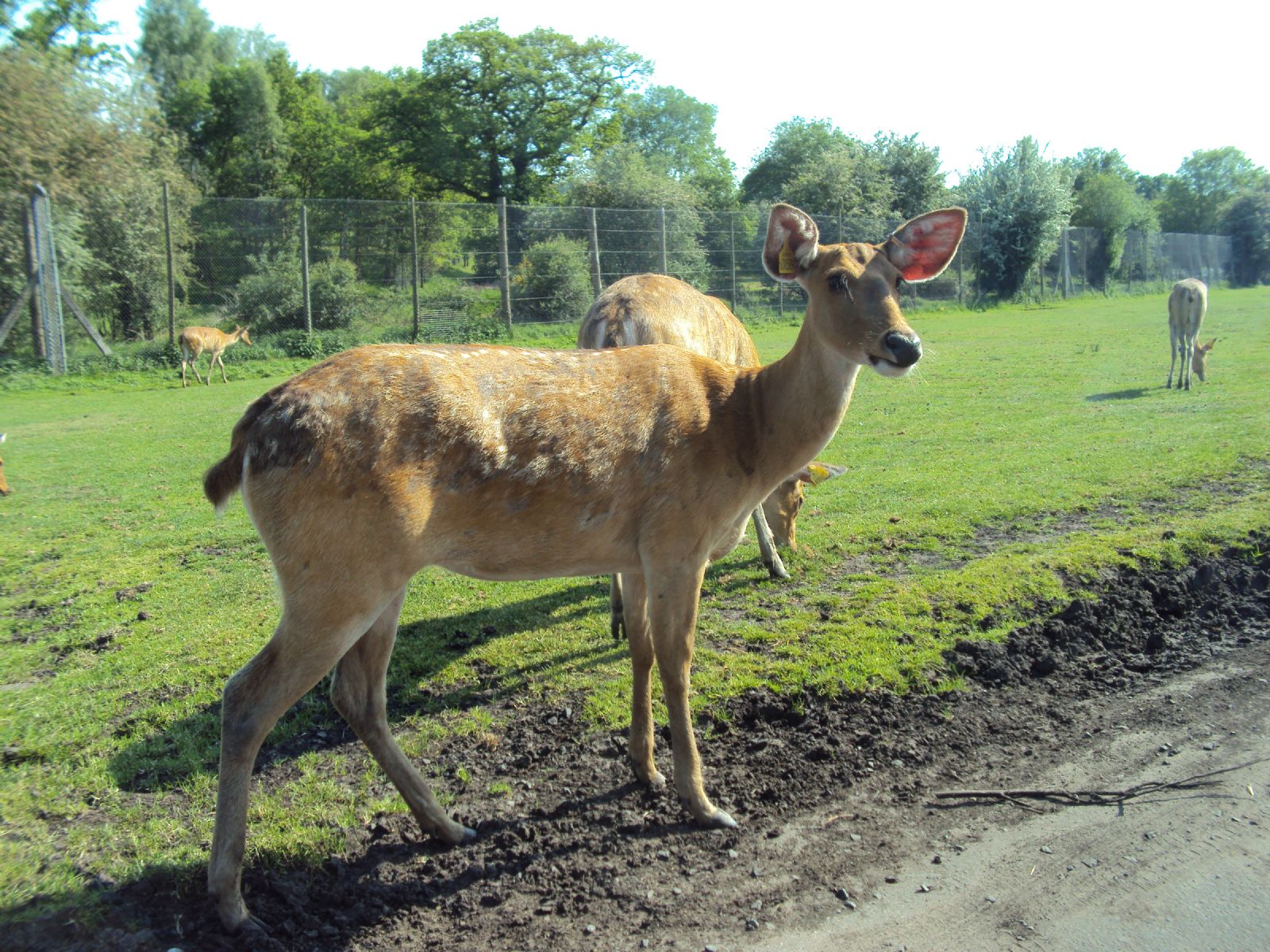 West Midland Safari Park